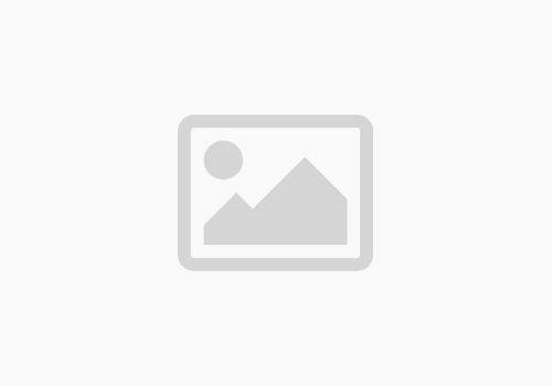 Mechanical Processing Plants