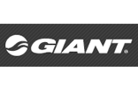 Giant Manufacturing Co. Ltd